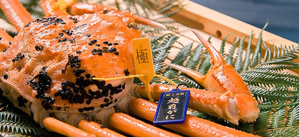 福井越前蟹