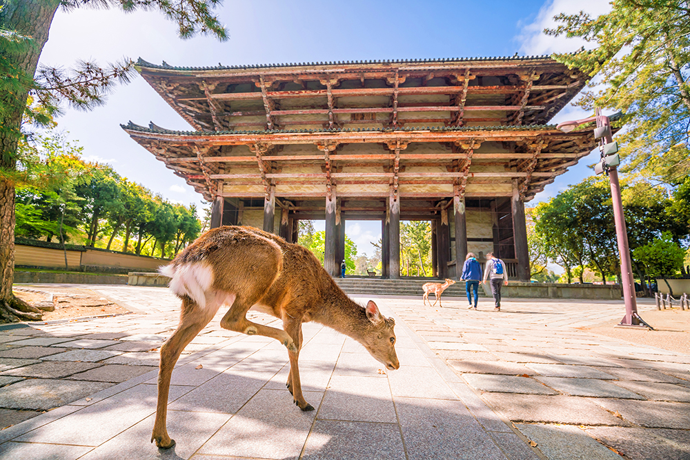 暑假快到囉！推薦日本必去的5大動物園 - 動物探險之旅