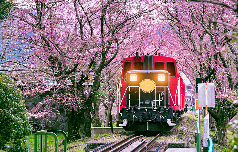 日本鐵路之旅：遊覽日本的最佳方式